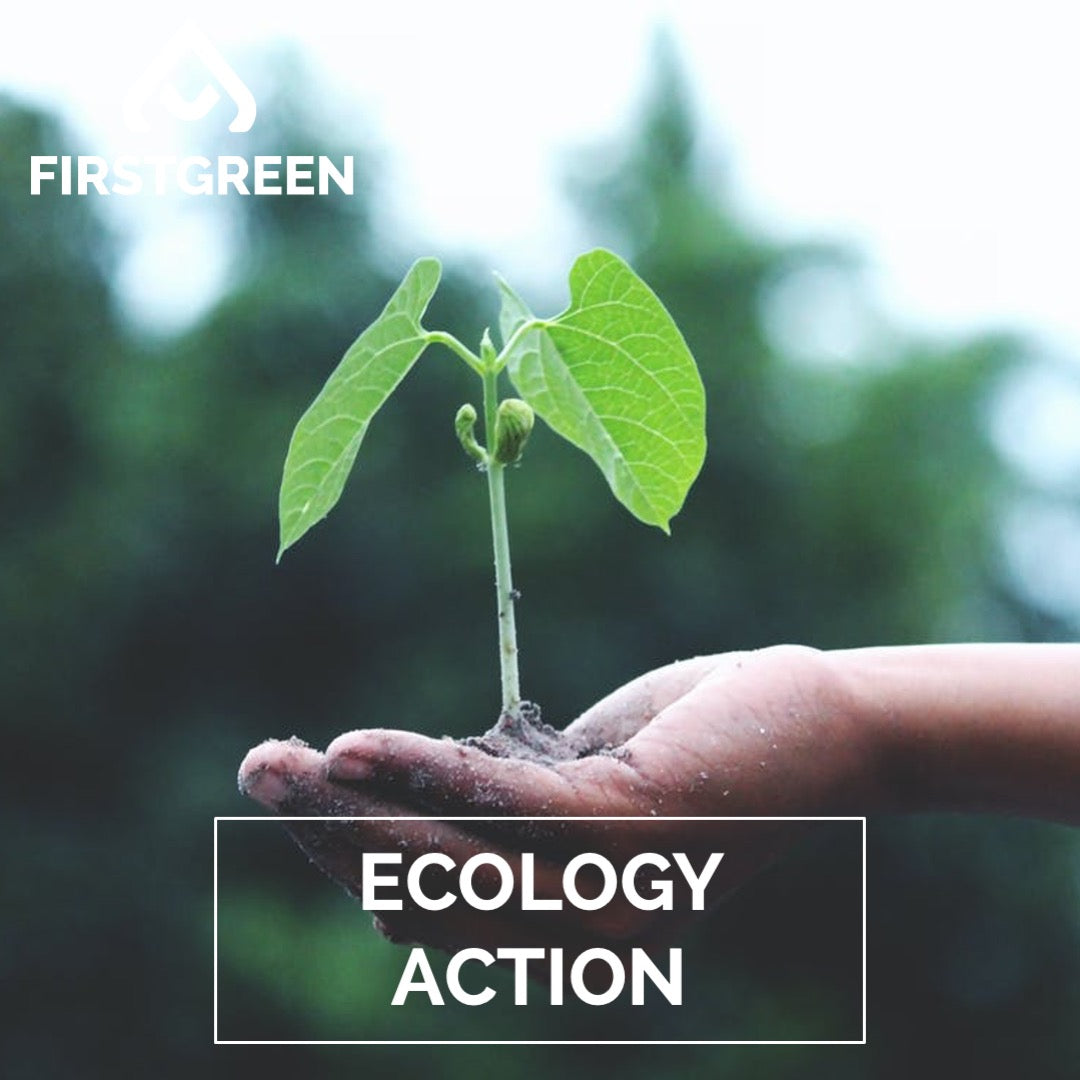 Acción Ecológica